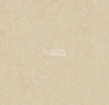 Линолеум Forbo Marmoleum Decibel on Order 386135 Arabian pearl фото 1 | FLOORDEALER